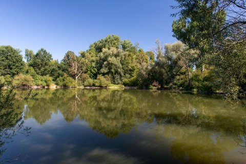 Baggersee beim Fischerheim